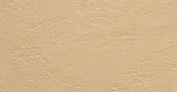 Monocolor